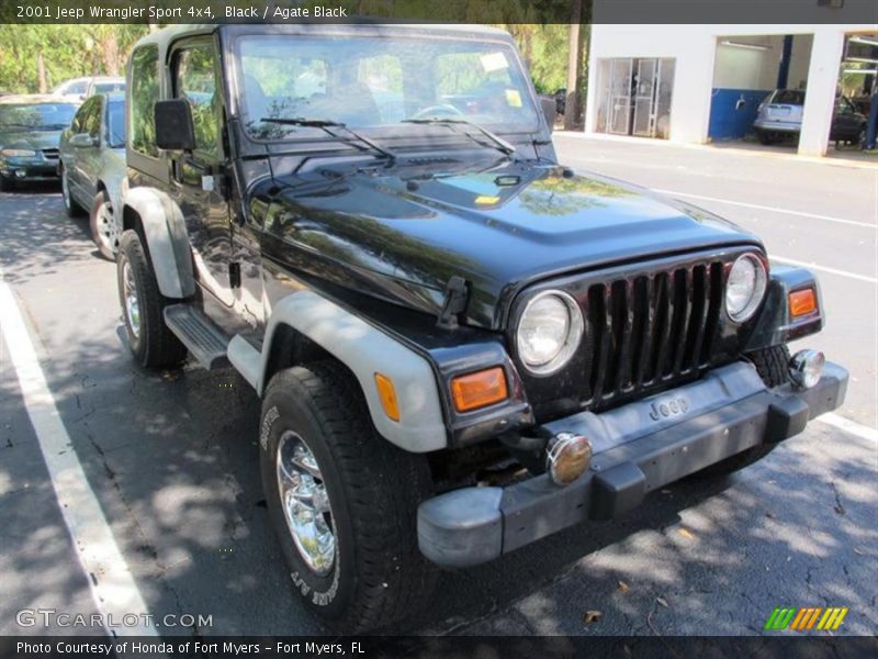 Black / Agate Black 2001 Jeep Wrangler Sport 4x4