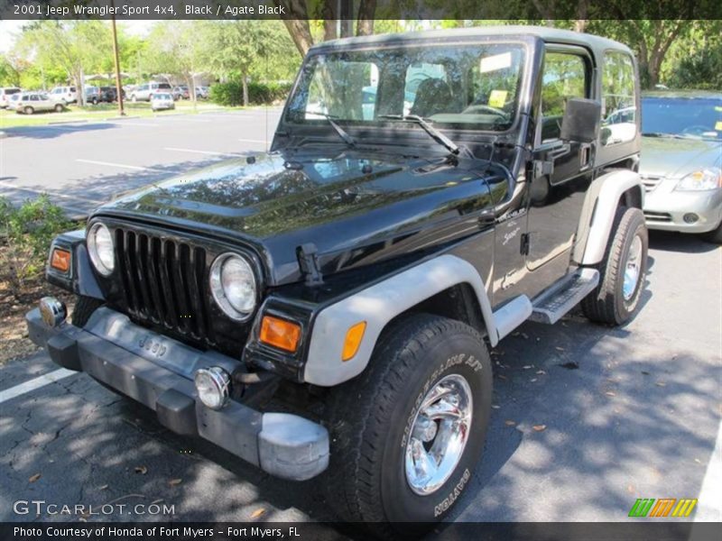 Black / Agate Black 2001 Jeep Wrangler Sport 4x4