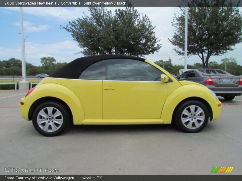  2008 New Beetle S Convertible Sunflower Yellow
