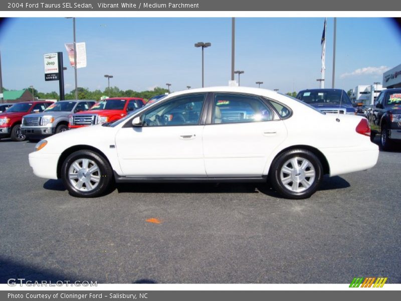 Vibrant White / Medium Parchment 2004 Ford Taurus SEL Sedan