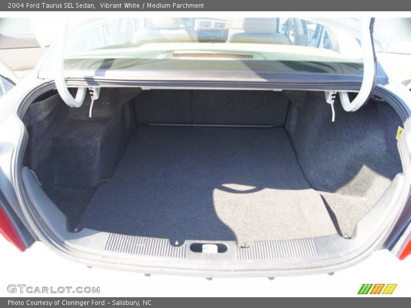 Vibrant White / Medium Parchment 2004 Ford Taurus SEL Sedan