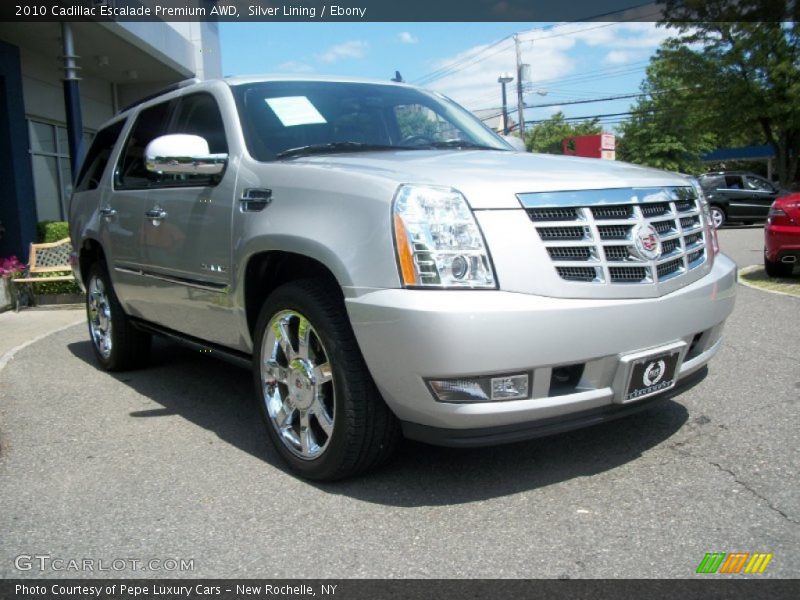 Silver Lining / Ebony 2010 Cadillac Escalade Premium AWD