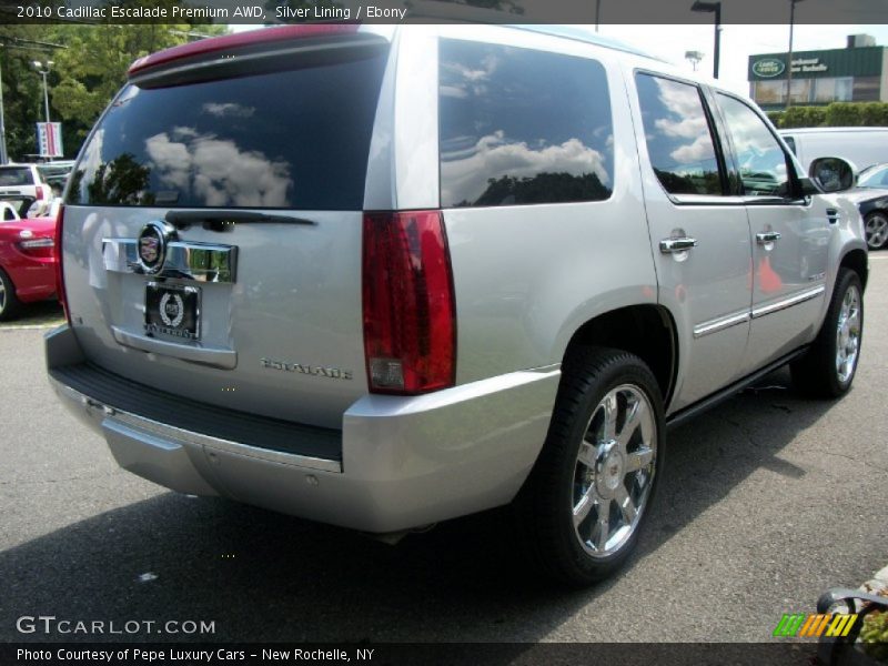 Silver Lining / Ebony 2010 Cadillac Escalade Premium AWD