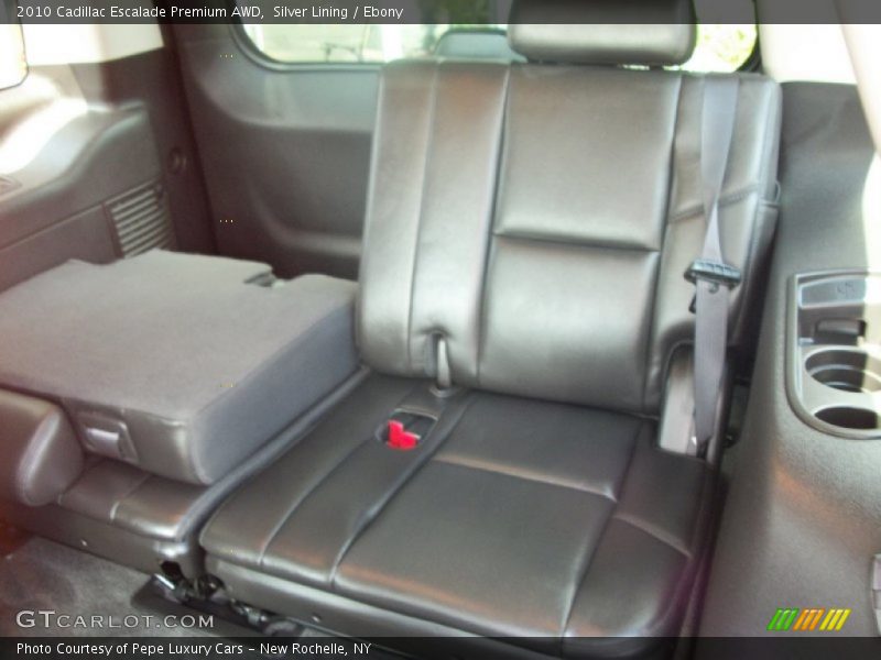 Silver Lining / Ebony 2010 Cadillac Escalade Premium AWD