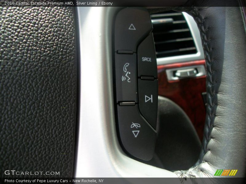 Silver Lining / Ebony 2010 Cadillac Escalade Premium AWD