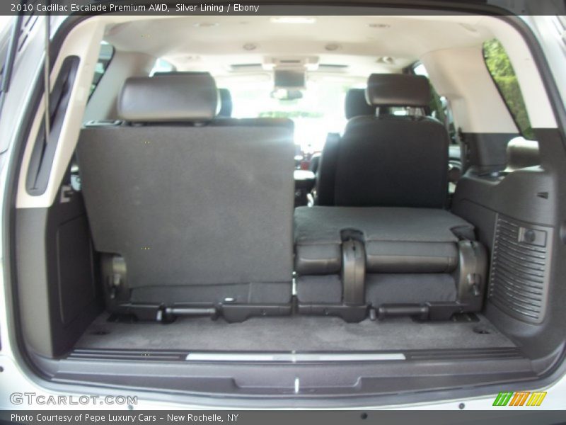 Silver Lining / Ebony 2010 Cadillac Escalade Premium AWD