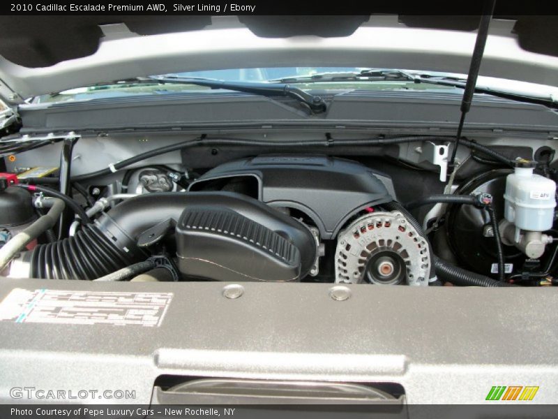 Silver Lining / Ebony 2010 Cadillac Escalade Premium AWD