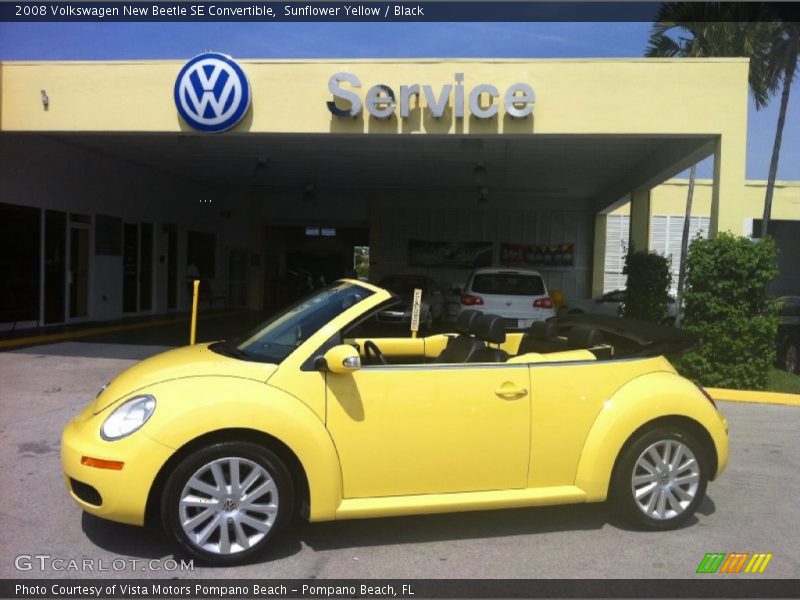 Sunflower Yellow / Black 2008 Volkswagen New Beetle SE Convertible