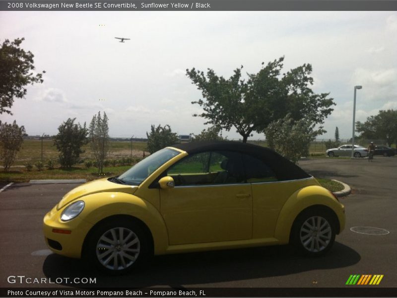 Sunflower Yellow / Black 2008 Volkswagen New Beetle SE Convertible