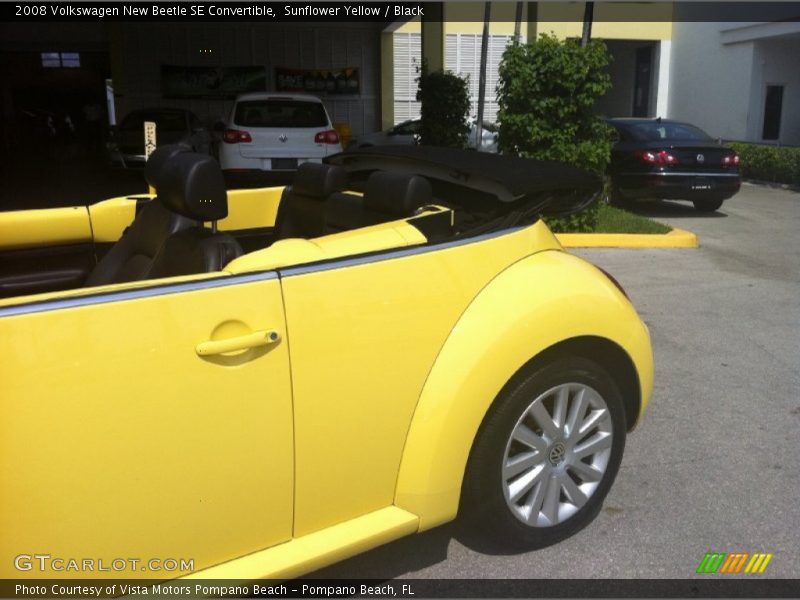 Sunflower Yellow / Black 2008 Volkswagen New Beetle SE Convertible
