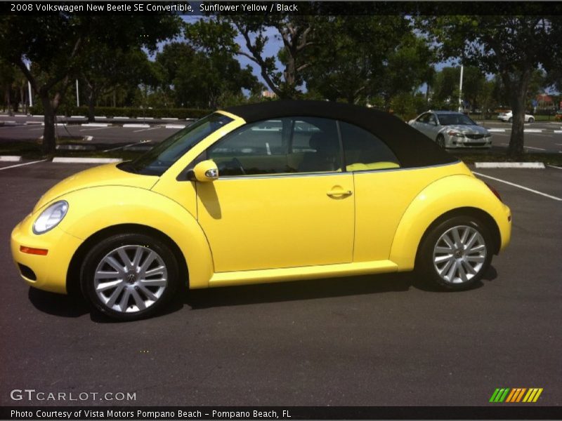 Sunflower Yellow / Black 2008 Volkswagen New Beetle SE Convertible