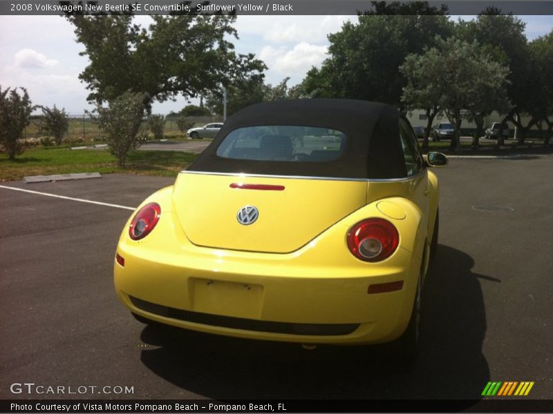 Sunflower Yellow / Black 2008 Volkswagen New Beetle SE Convertible