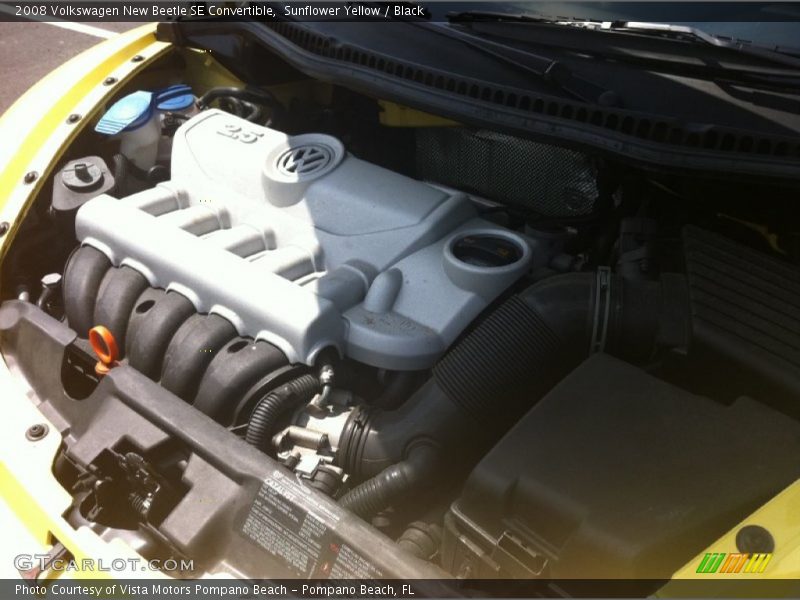 Sunflower Yellow / Black 2008 Volkswagen New Beetle SE Convertible