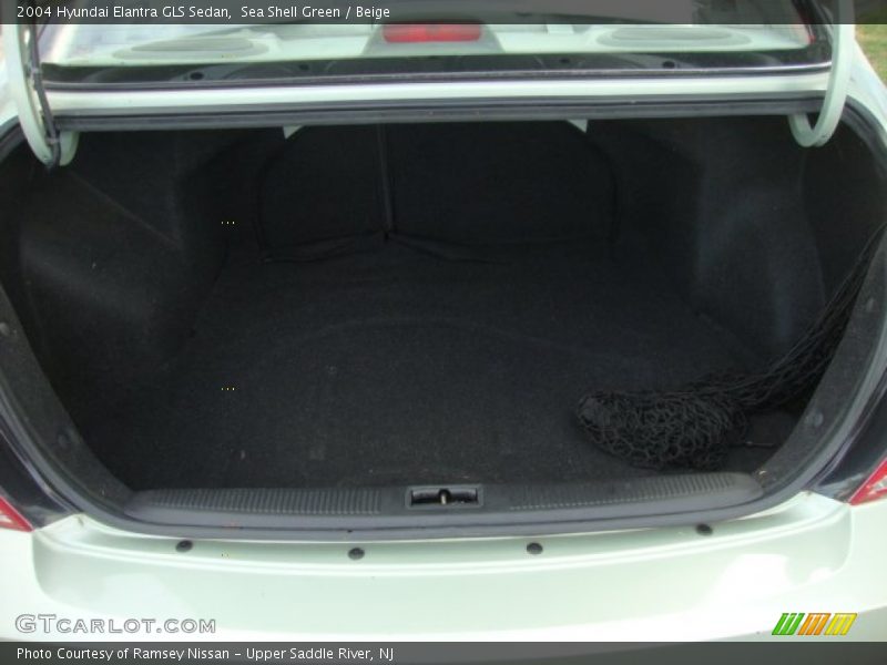 Sea Shell Green / Beige 2004 Hyundai Elantra GLS Sedan