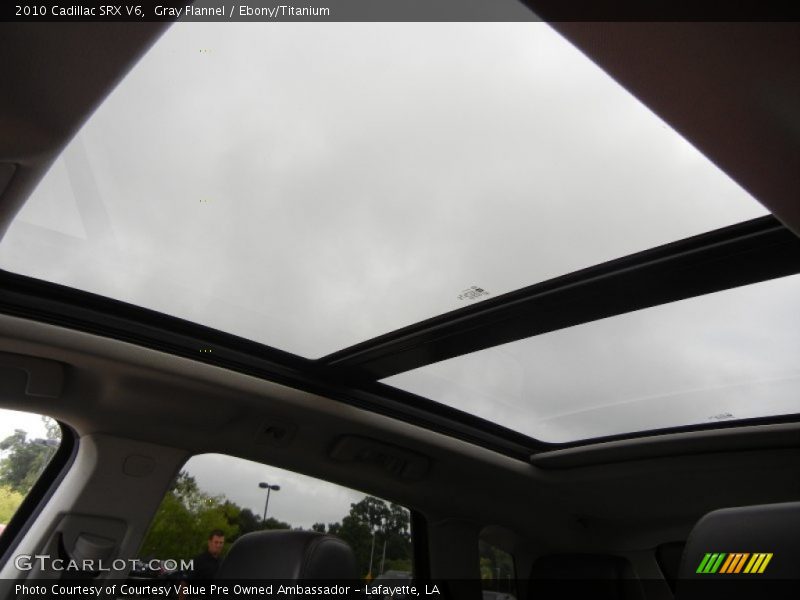 Gray Flannel / Ebony/Titanium 2010 Cadillac SRX V6