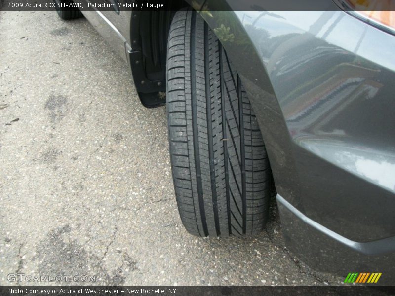 Palladium Metallic / Taupe 2009 Acura RDX SH-AWD
