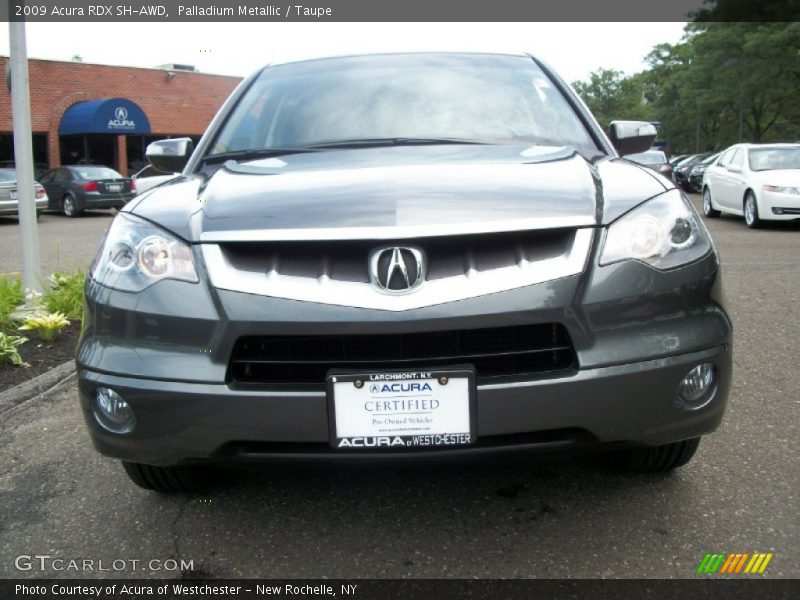 Palladium Metallic / Taupe 2009 Acura RDX SH-AWD