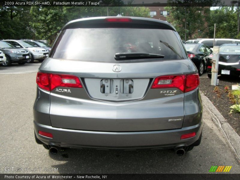 Palladium Metallic / Taupe 2009 Acura RDX SH-AWD