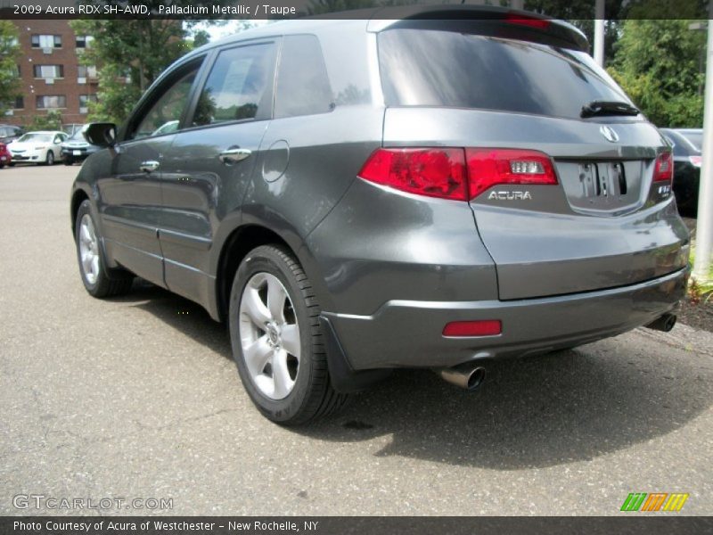 Palladium Metallic / Taupe 2009 Acura RDX SH-AWD