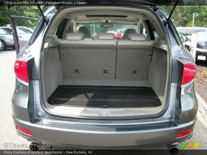 Palladium Metallic / Taupe 2009 Acura RDX SH-AWD