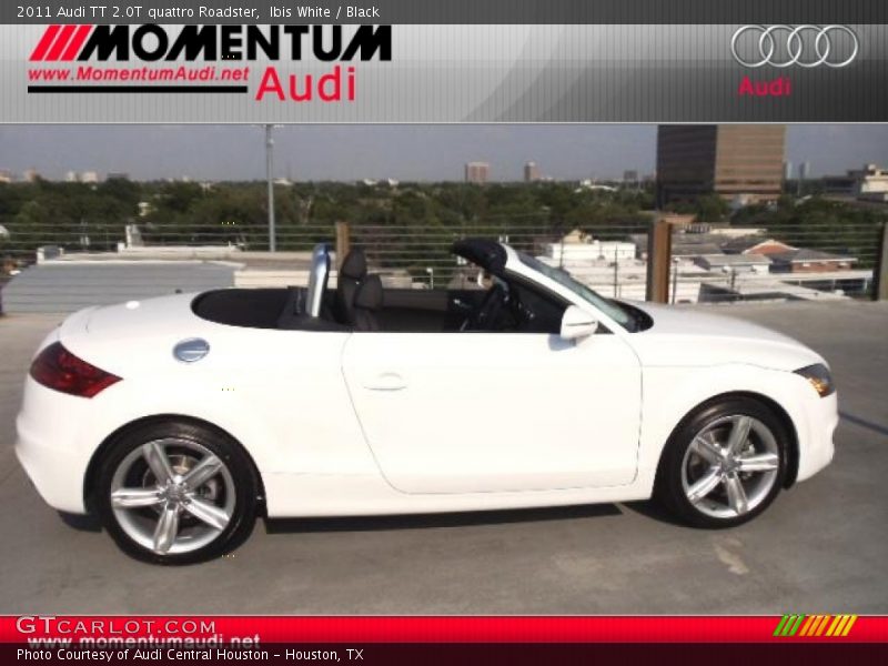 Ibis White / Black 2011 Audi TT 2.0T quattro Roadster