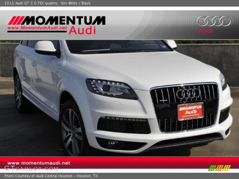 Ibis White / Black 2011 Audi Q7 3.0 TDI quattro
