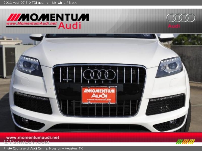Ibis White / Black 2011 Audi Q7 3.0 TDI quattro