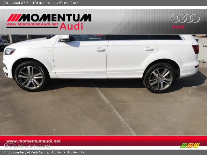 Ibis White / Black 2011 Audi Q7 3.0 TDI quattro
