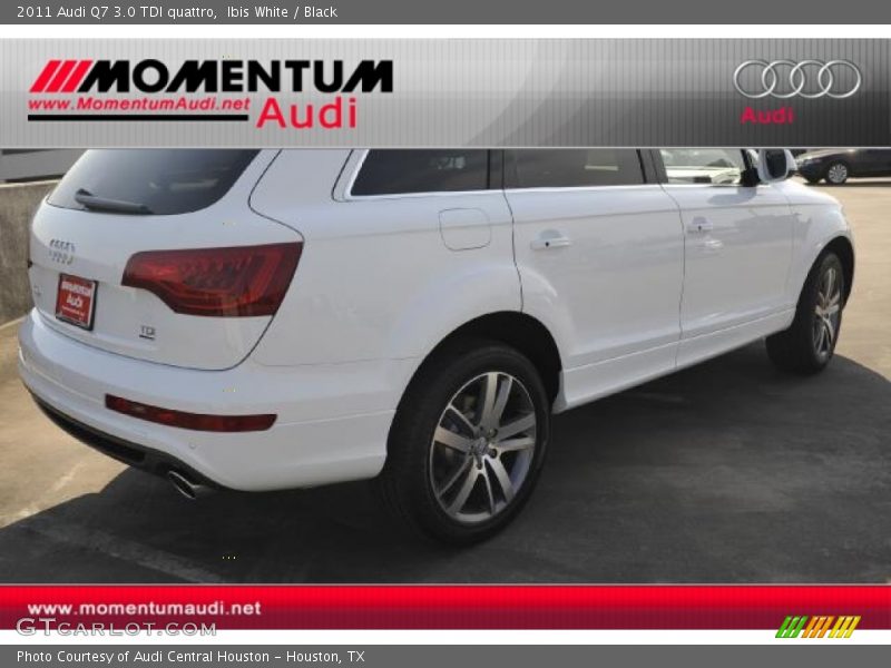 Ibis White / Black 2011 Audi Q7 3.0 TDI quattro