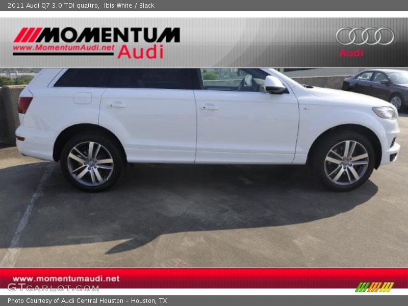 Ibis White / Black 2011 Audi Q7 3.0 TDI quattro