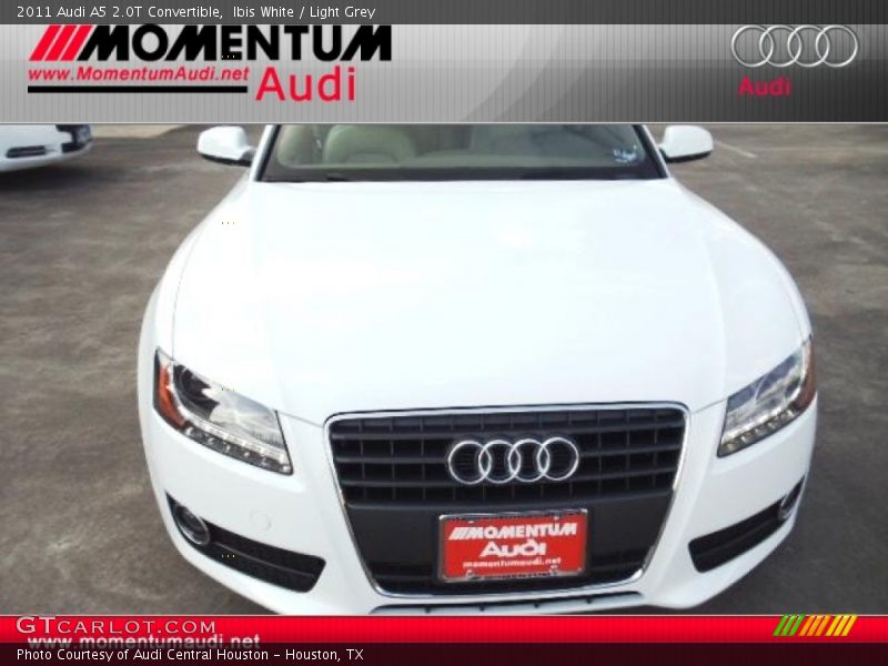 Ibis White / Light Grey 2011 Audi A5 2.0T Convertible