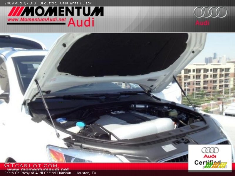 Calla White / Black 2009 Audi Q7 3.0 TDI quattro