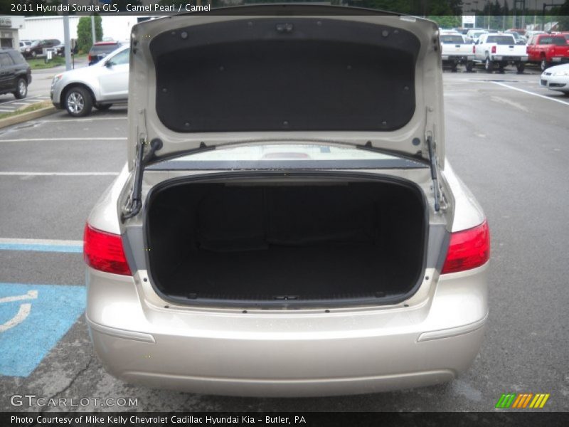 Camel Pearl / Camel 2011 Hyundai Sonata GLS