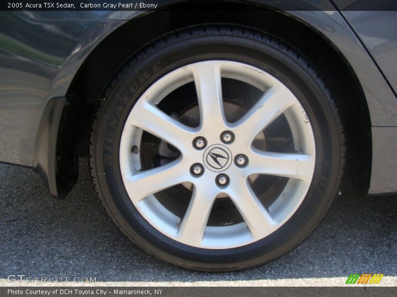 Carbon Gray Pearl / Ebony 2005 Acura TSX Sedan