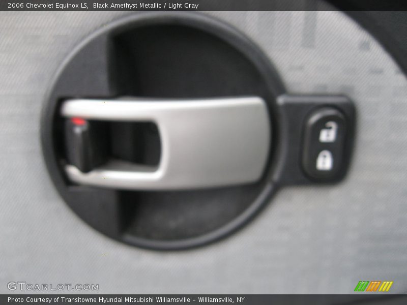 Black Amethyst Metallic / Light Gray 2006 Chevrolet Equinox LS