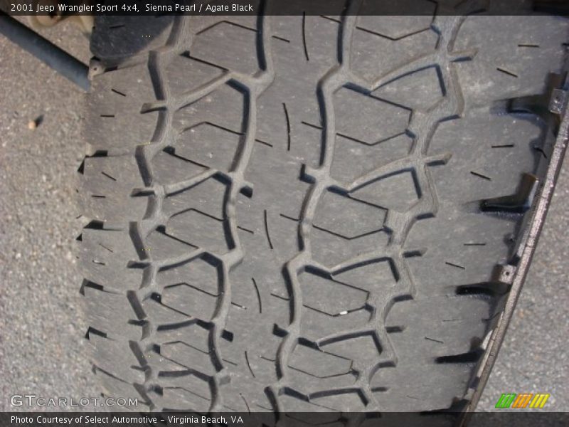 Sienna Pearl / Agate Black 2001 Jeep Wrangler Sport 4x4