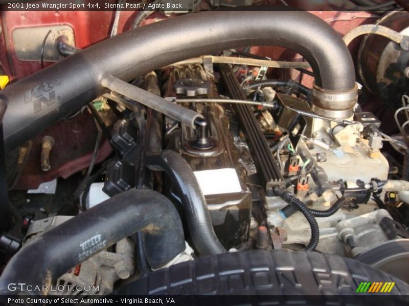 Sienna Pearl / Agate Black 2001 Jeep Wrangler Sport 4x4