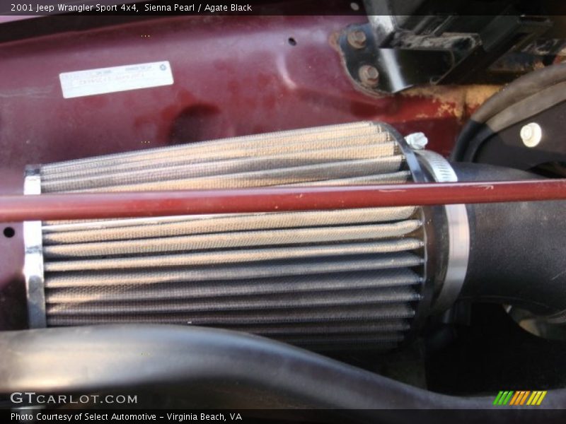 Sienna Pearl / Agate Black 2001 Jeep Wrangler Sport 4x4
