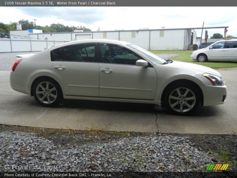 Winter Frost Pearl / Charcoal Black 2008 Nissan Maxima 3.5 SE