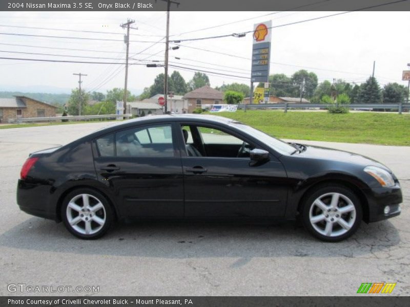 Onyx Black / Black 2004 Nissan Maxima 3.5 SE