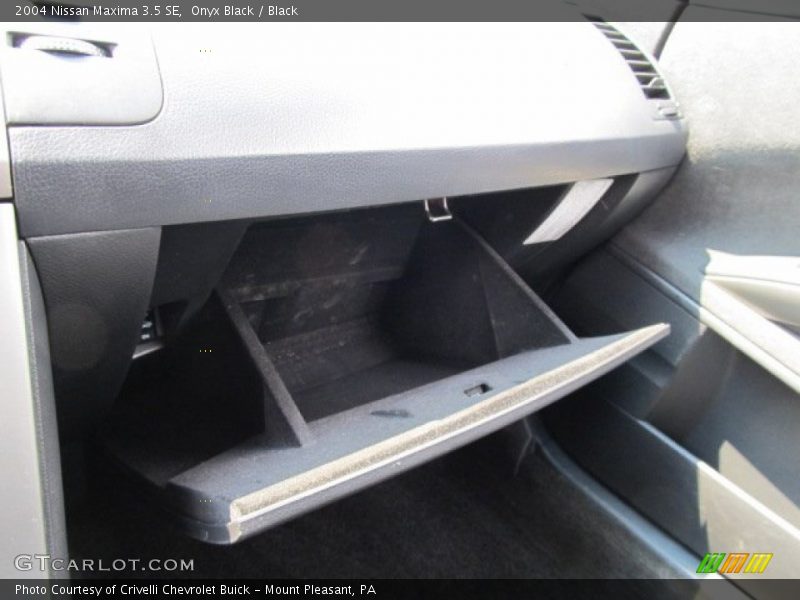 Onyx Black / Black 2004 Nissan Maxima 3.5 SE