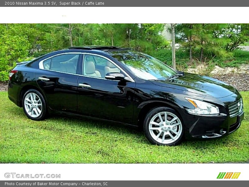 Super Black / Caffe Latte 2010 Nissan Maxima 3.5 SV