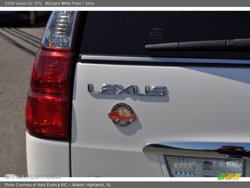 Blizzard White Pearl / Ivory 2009 Lexus GX 470