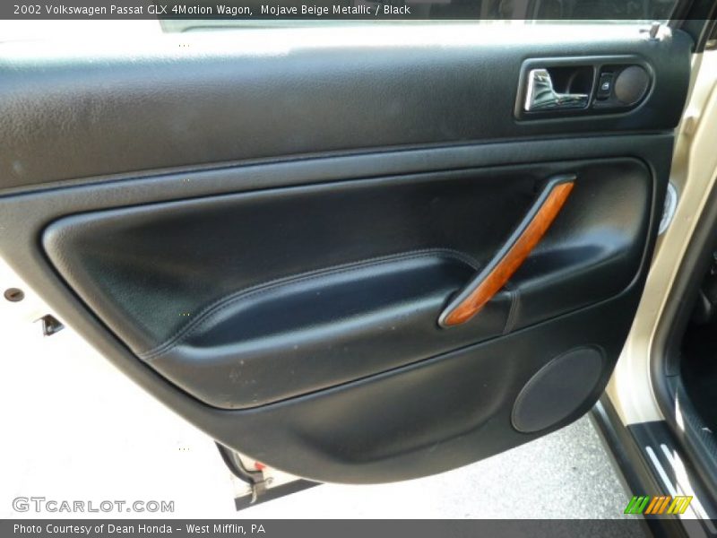 Door Panel of 2002 Passat GLX 4Motion Wagon
