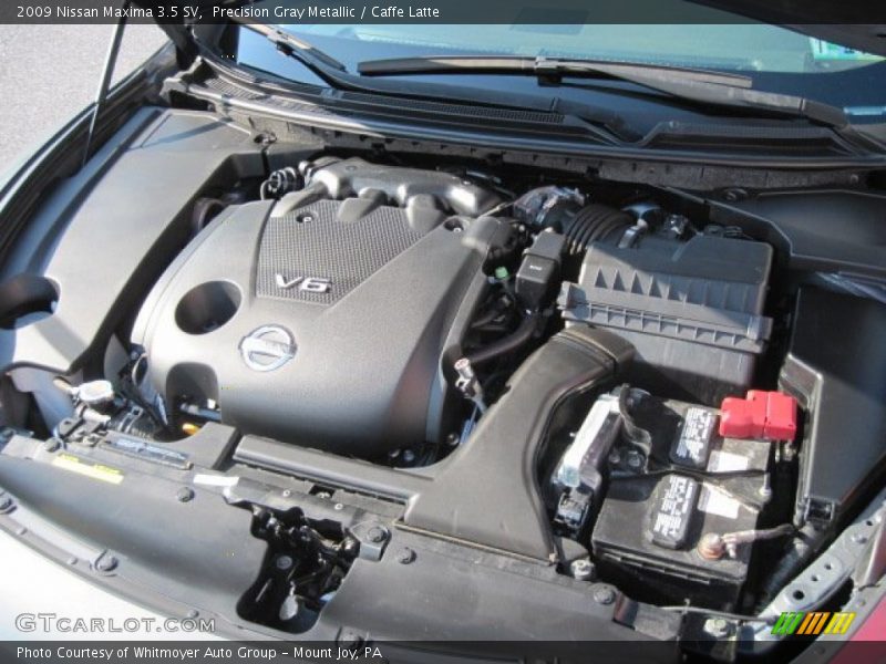 Precision Gray Metallic / Caffe Latte 2009 Nissan Maxima 3.5 SV