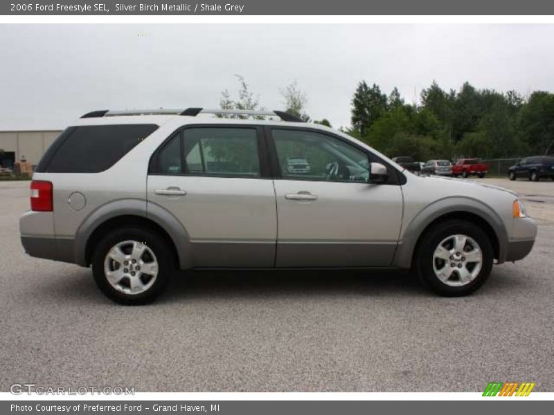 Silver Birch Metallic / Shale Grey 2006 Ford Freestyle SEL