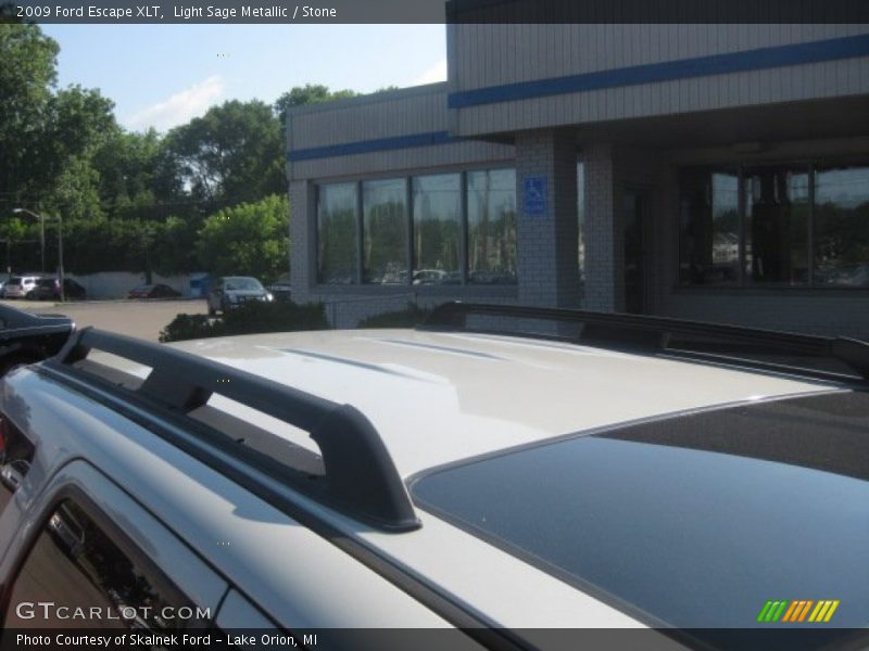 Light Sage Metallic / Stone 2009 Ford Escape XLT