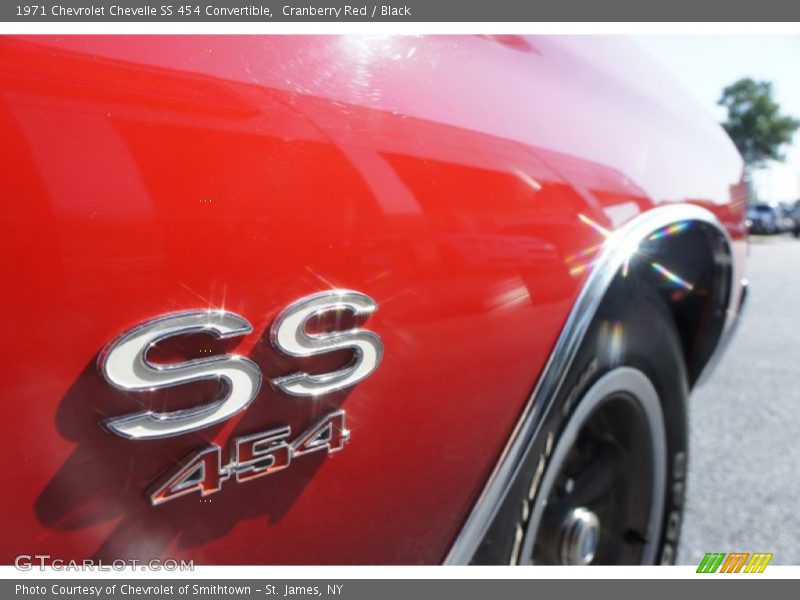  1971 Chevelle SS 454 Convertible Logo