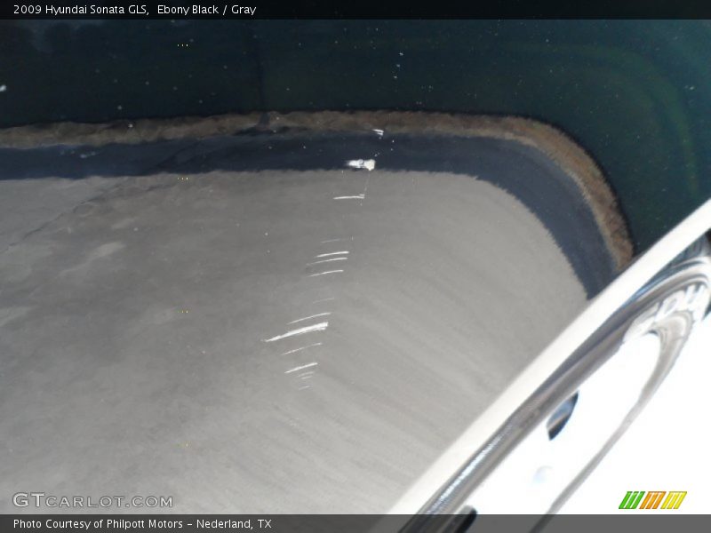 Ebony Black / Gray 2009 Hyundai Sonata GLS