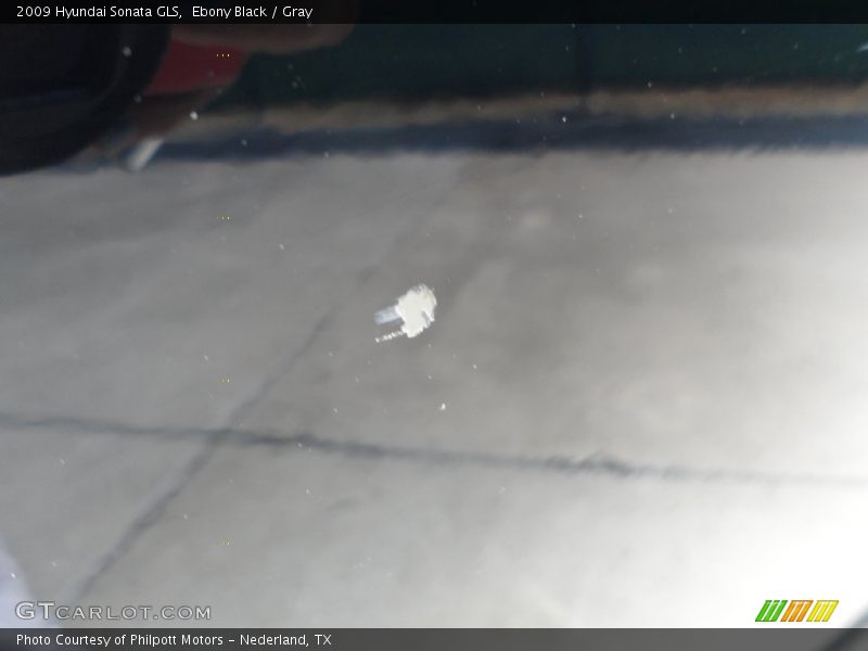 Ebony Black / Gray 2009 Hyundai Sonata GLS